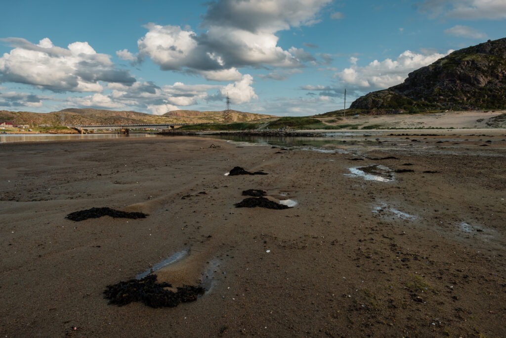 Waste-to-Energy destroys Persistent Organic Pollutants POPs study shows