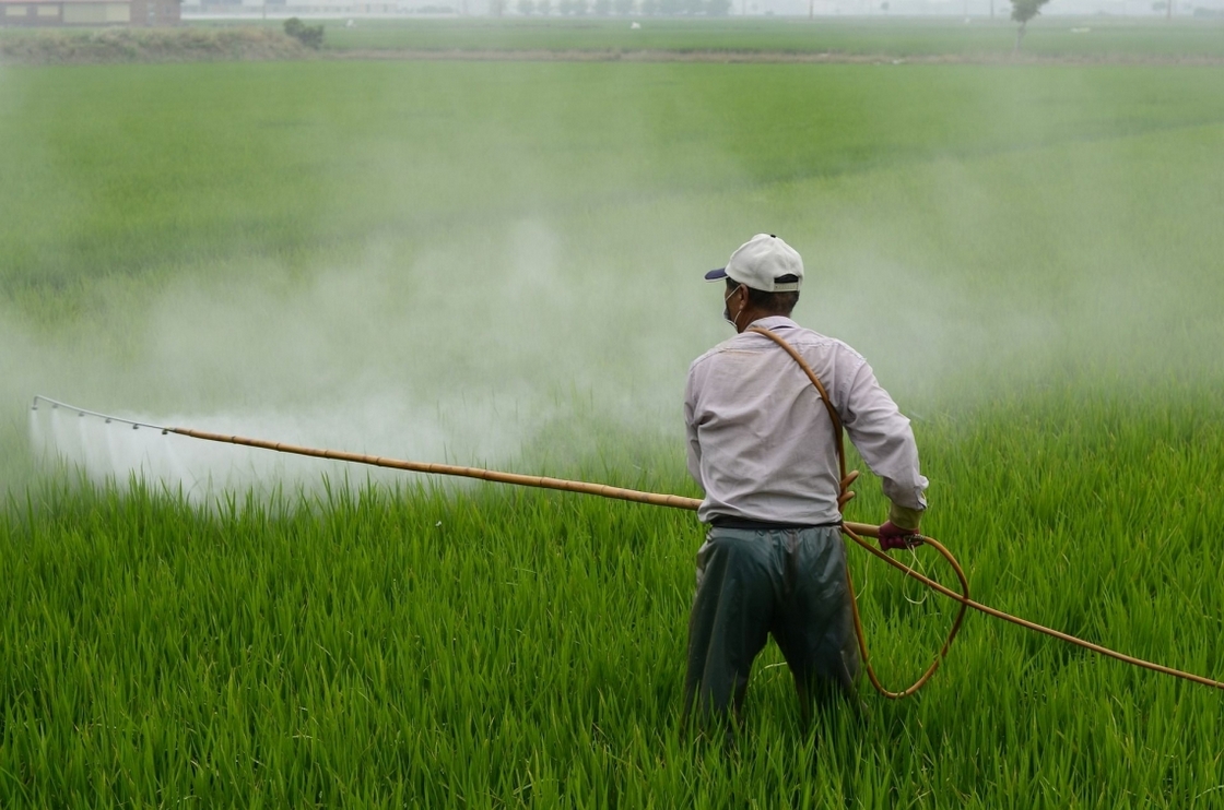 UNIDO wins award for projects phasing-out hazardous pesticide UNIDO wins award for projects phasing-out hazardous pesticide